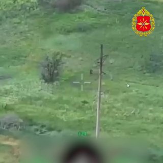 Морпехи держат капкан в Доброполье