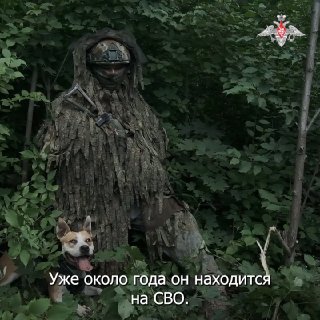 Лучший друг штурмовика