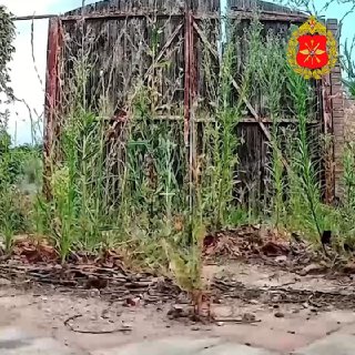 Работает воздушный дозор