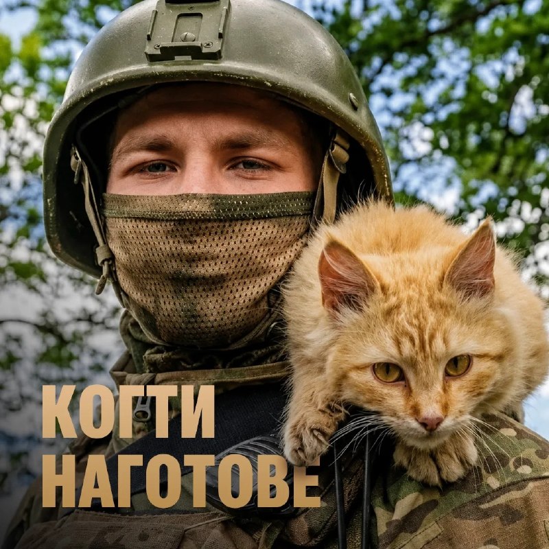Наши бойцы и их четырехлапые друзья желают всем спокойной ночи