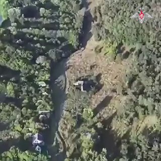 Здорово отработали лимуром!