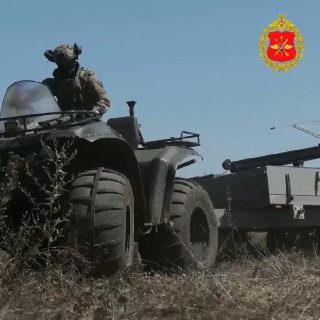 Выследили и выжгли
