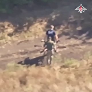 Разорили «гнездо» врага