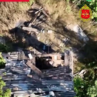 Спалили «птичьи» гнезда