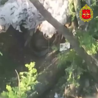 Разбили в щепки