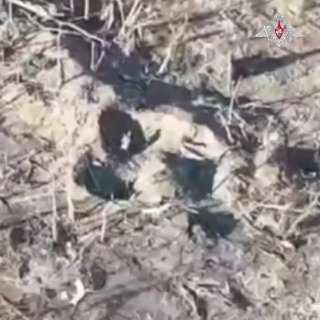 «Акация» расцвела на позициях врага