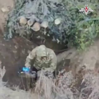 Раскатали «птичьи» гнезда