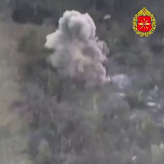 Ликвидация «гнезд» и живой силы